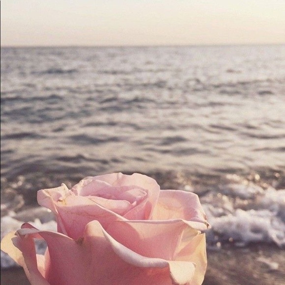 Meet your Posher, Simone - Picture 1 of 1